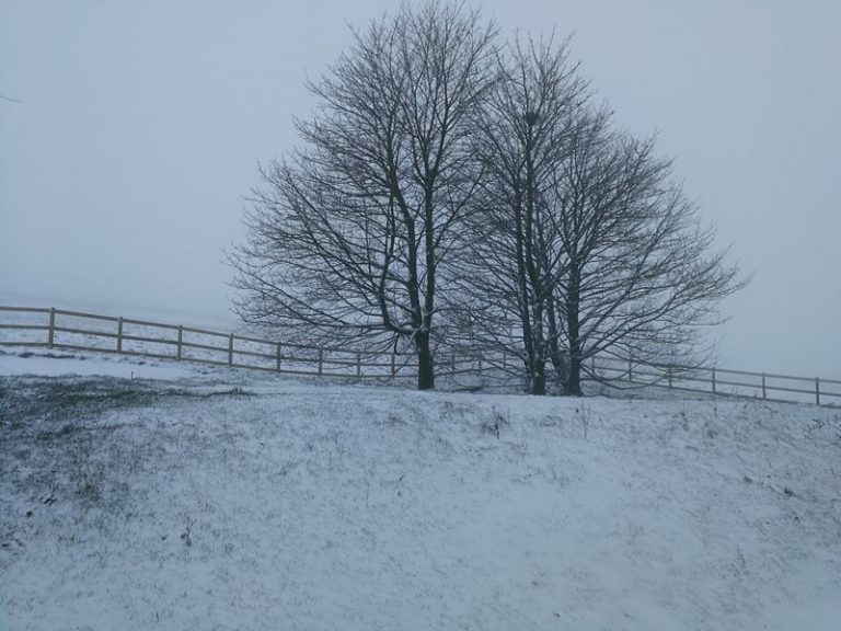 Winter